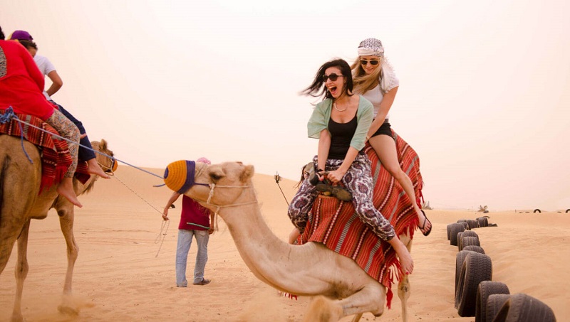 6 Cool Facts About Desert Safari Dubai Deals