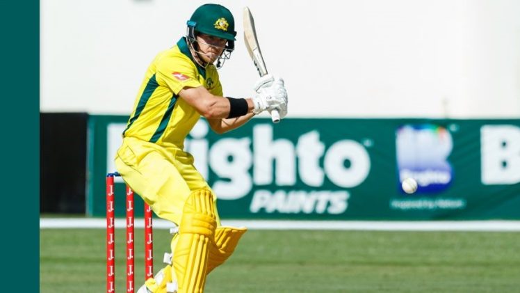 All your need to know about the fantasy cricket games - Streaming Words