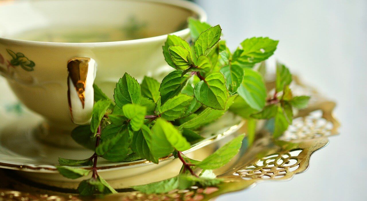 Top 5 Herbal Teas Best for Kids