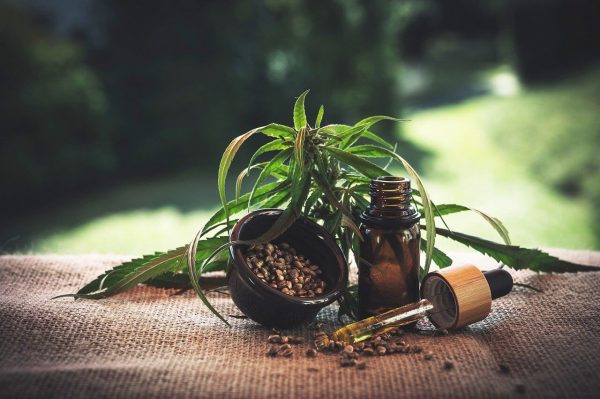 Understanding the Entourage Effect: How THC and CBD Work Together