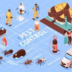 Keep Pests Out of Your Home