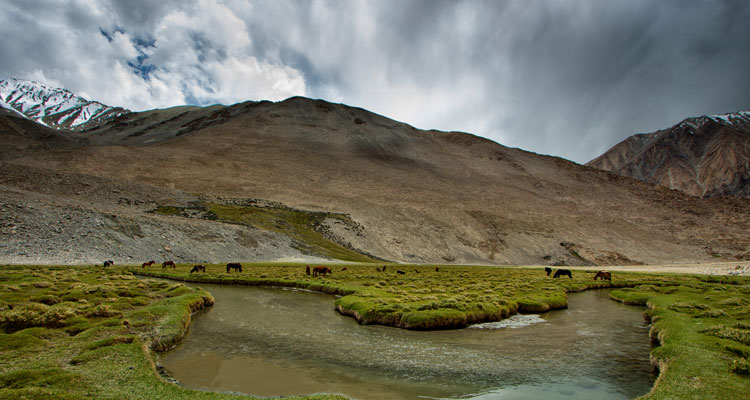 zanskar-valley-in-kargil